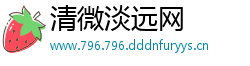 清微淡远网